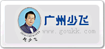 少飛牌