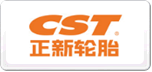 正新CST