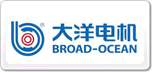 大洋電機