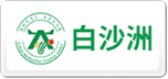 白沙洲