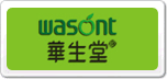 華生堂wasont
