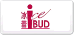 冰蕾ICEBUD