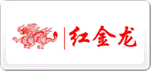 紅金龍