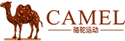 񄣨CAMELb侩|ԠI(yng)Ş